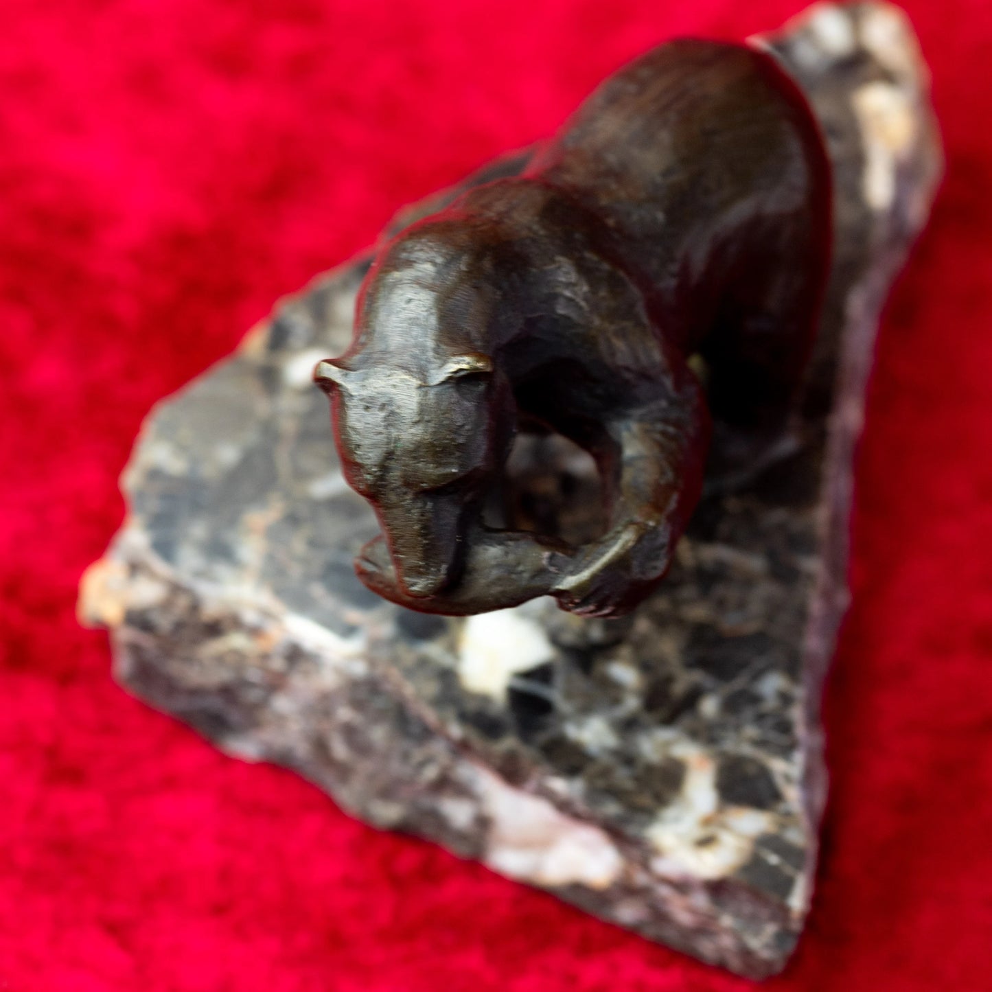 Künstler-Bronzefigur Kanadischer Bär von Siggy Puchta