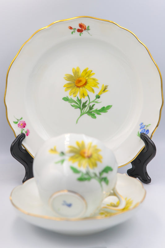 Meissen Kaffeegedeck, Neuer Ausschnitt, gelbe Aster