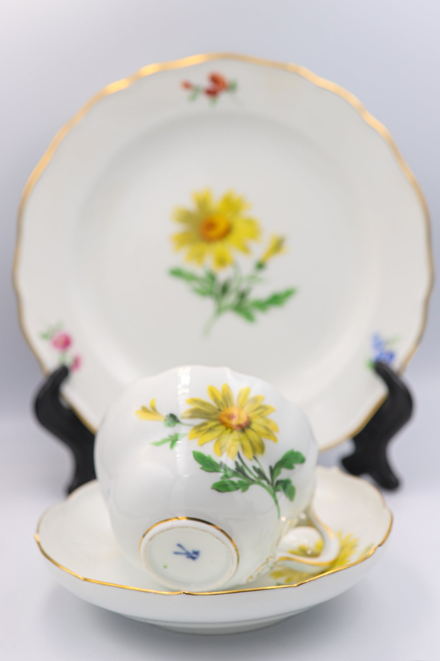 Meissen Kaffeegedeck, Neuer Ausschnitt, gelbe Aster