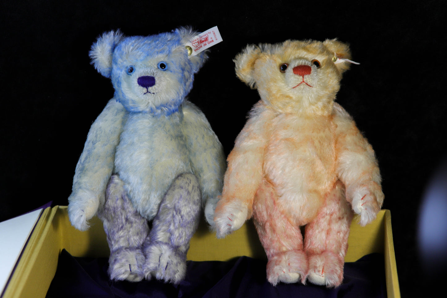 Steiff Millennium Teddys im Buch