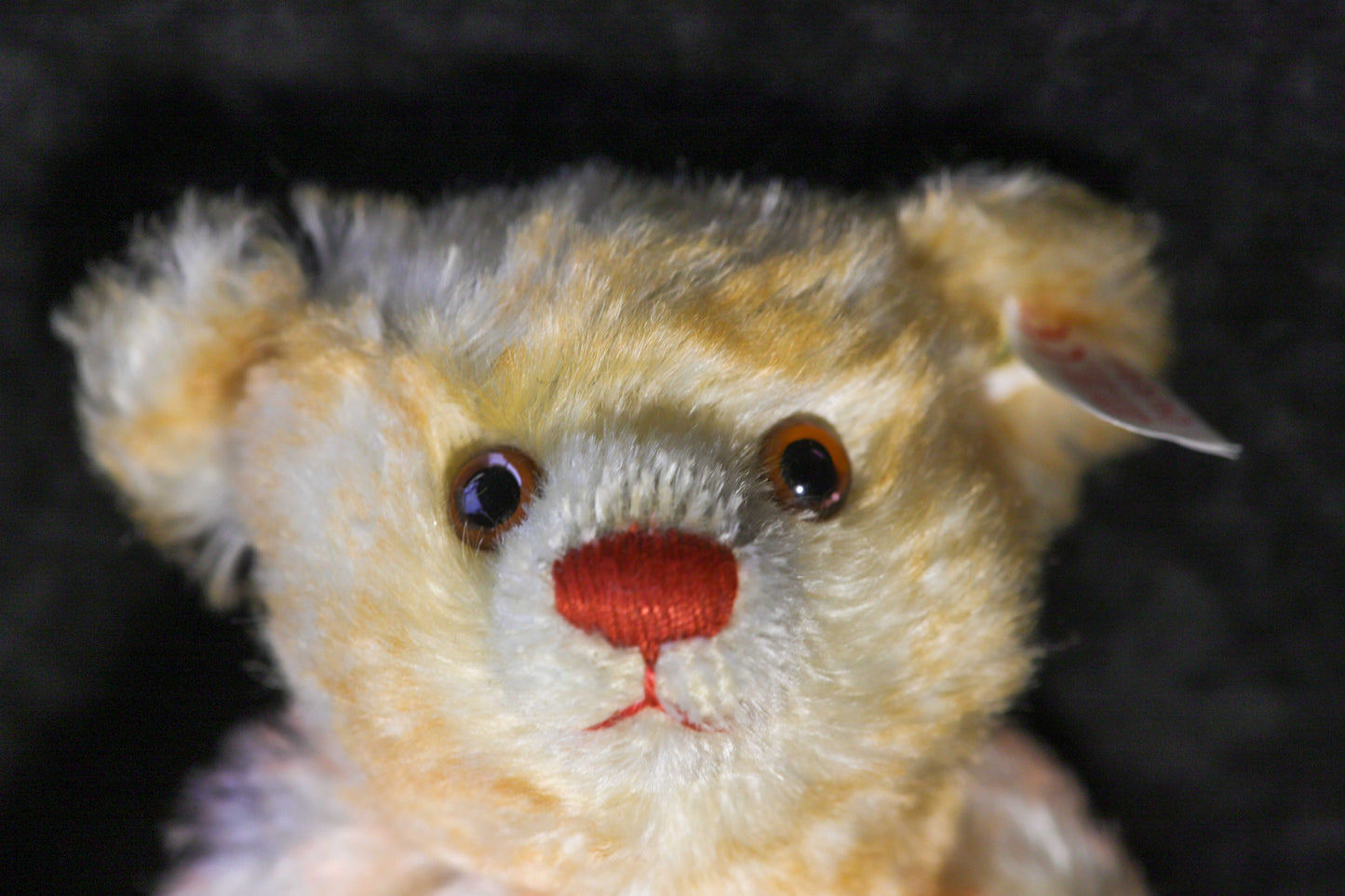 Steiff Millennium Teddys im Buch